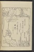 ku-speccoll:12892-80