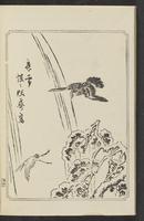 ku-speccoll:12892-98