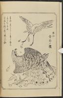 ku-speccoll:12892-106