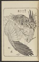 ku-speccoll:12892-107