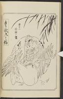 ku-speccoll:12892-114