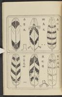 ku-speccoll:12892-115