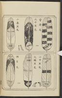 ku-speccoll:12892-116