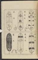 ku-speccoll:12892-117