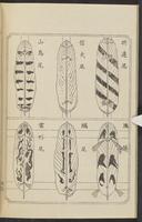 ku-speccoll:12892-118