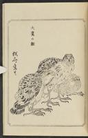 ku-speccoll:12892-119