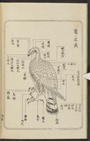 ku-speccoll:12892-120