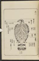 ku-speccoll:12892-121