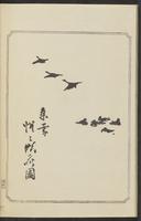 ku-speccoll:12892-122