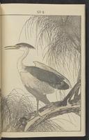 ku-speccoll:13017-10