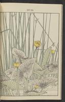 ku-speccoll:13017-28