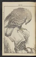 ku-speccoll:13017-45