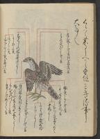 ku-speccoll:13073-166