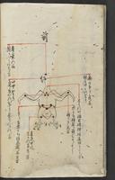 ku-speccoll:13258-92