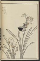 ku-speccoll:13417-18