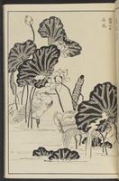 ku-speccoll:13417-19