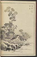 ku-speccoll:13417-20