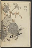 ku-speccoll:13417-26