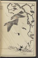 ku-speccoll:13417-28