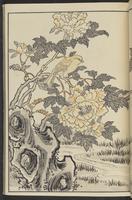 ku-speccoll:13417-31