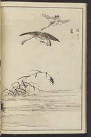 ku-speccoll:13417-34