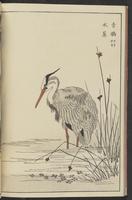 ku-speccoll:13417-38