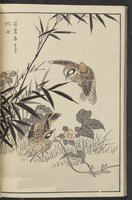 ku-speccoll:13417-42