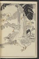 ku-speccoll:13417-46