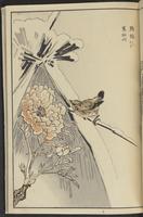 ku-speccoll:13417-57