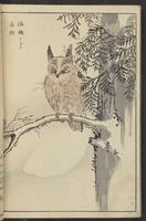 ku-speccoll:13417-68