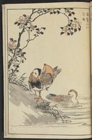 ku-speccoll:13417-69