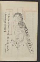 ku-speccoll:13545-14