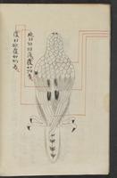 ku-speccoll:13545-18