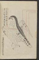 ku-speccoll:13545-20