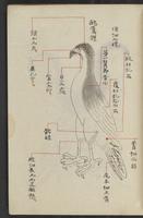 ku-speccoll:13545-21