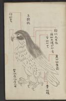 ku-speccoll:13545-25