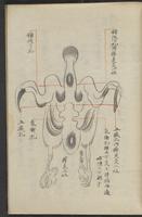 ku-speccoll:13545-57