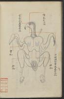 ku-speccoll:13545-58