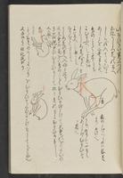 ku-speccoll:13741-113