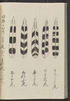 ku-speccoll:13741-114