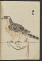 ku-speccoll:13741-188