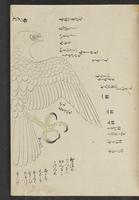 ku-speccoll:13741-195