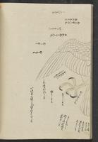 ku-speccoll:13741-196