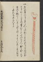 ku-speccoll:13741-202