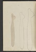 ku-speccoll:13741-203