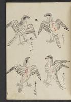 ku-speccoll:13741-205