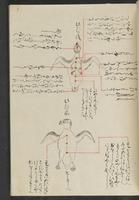 ku-speccoll:13741-207