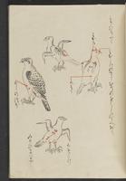 ku-speccoll:13741-209