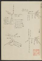 ku-speccoll:13741-239