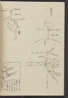 ku-speccoll:13741-240